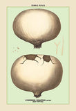 Whisper please, Image is sleeping.