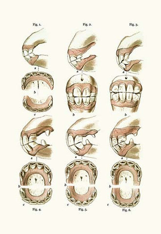 Whisper please, Image is sleeping.
