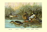Whisper please, Image is sleeping.