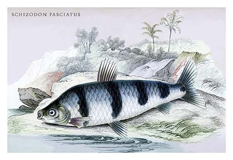 Whisper please, Image is sleeping.