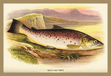 Whisper please, Image is sleeping.