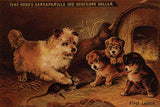 Take Hood's Sarsaparilla