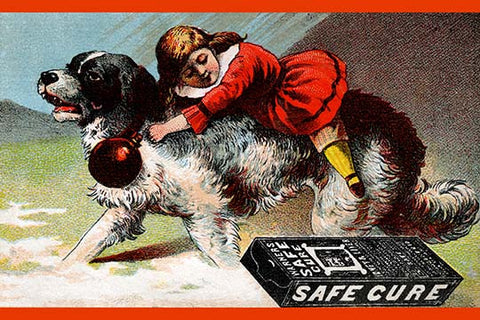 Warner's Safe Cure