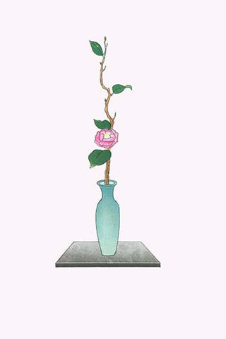 Tsubaki (Camellia Japonica) in a Tsubo