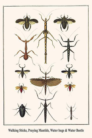 Whisper please, Image is sleeping.