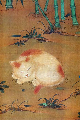 Whisper please, Image is sleeping.