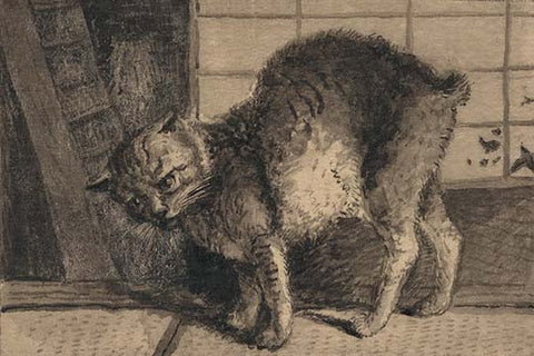 Whisper please, Image is sleeping.