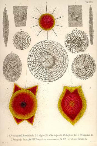 Whisper please, Image is sleeping.