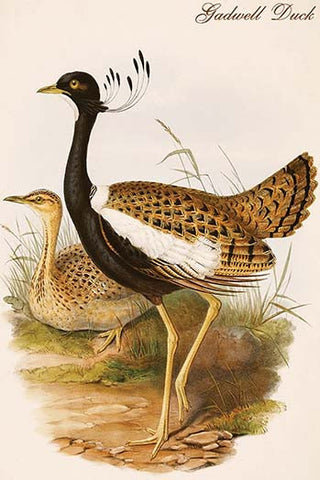 Whisper please, Image is sleeping.